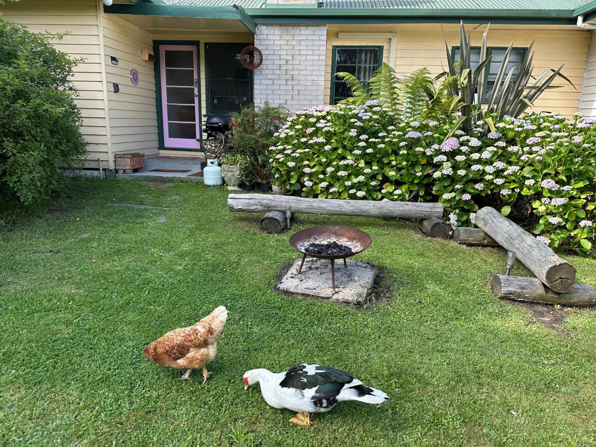 Bush Retreat Farm Stay 2 Bedroom Guest Suite Gelliondale Exteriör bild